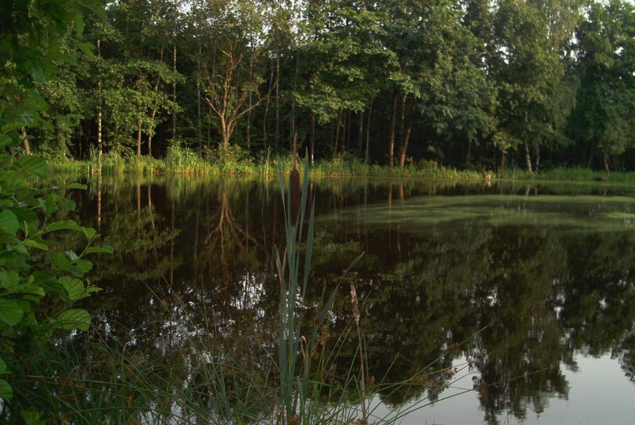 Ferienwohnungen Stricker Harz Walkenried المظهر الخارجي الصورة